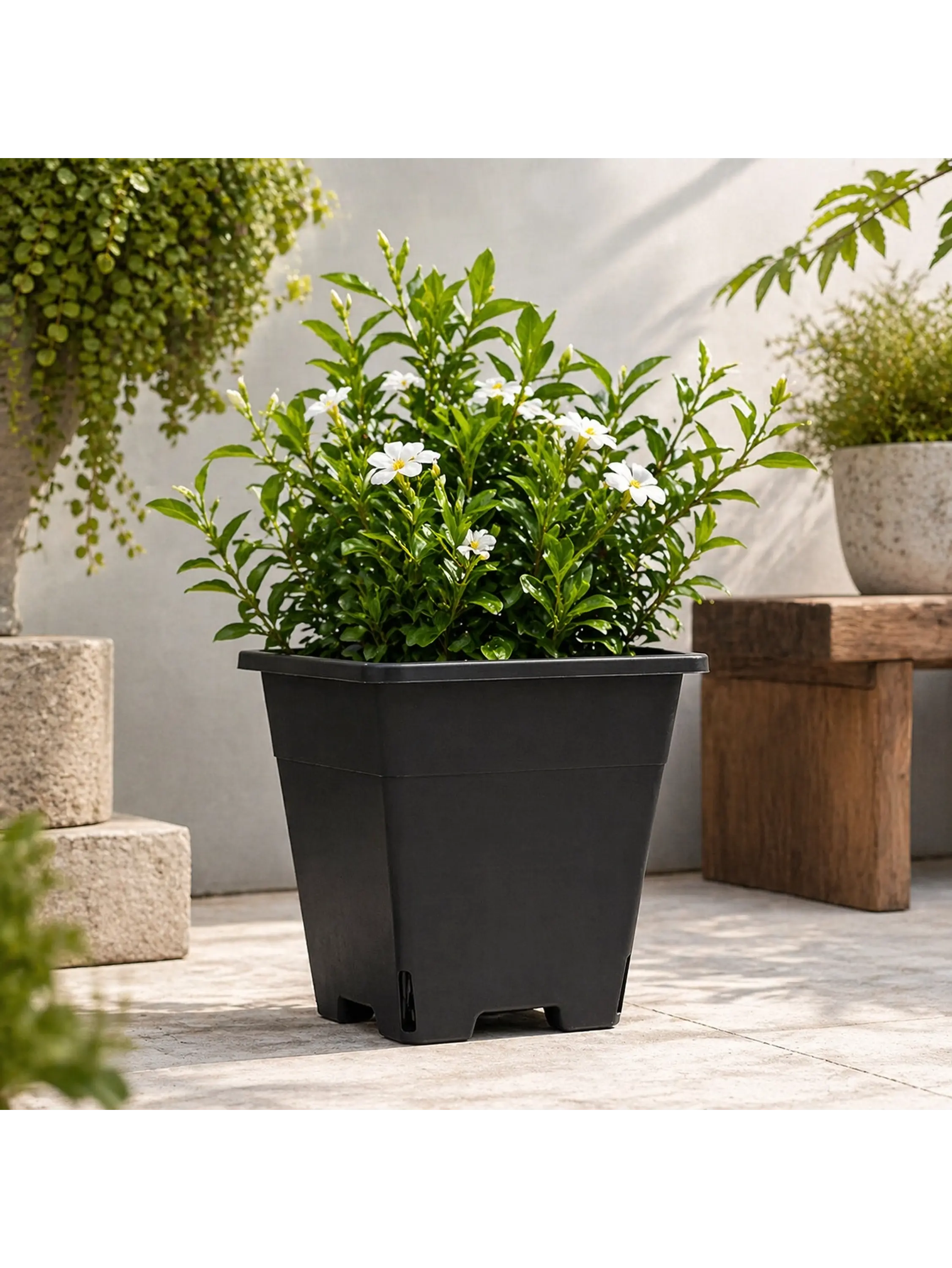 Maceta Profesional Cuadrada Negra medidas variadas- Kasvi 14