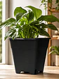 Maceta Profesional Cuadrada Negra medidas variadas- Kasvi - Miniatura 15