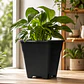 Maceta Cuadrada Negra Kasvi – Plástica para Cultivo Indoor y Outdoor (2 a 11 L) - Miniatura 15
