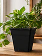 Maceta Profesional Cuadrada Negra medidas variadas- Kasvi - Miniatura 16