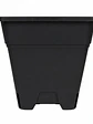 Maceta Profesional Cuadrada Negra medidas variadas- Kasvi - Miniatura 3