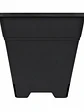 Maceta Profesional Cuadrada Negra medidas variadas- Kasvi - Miniatura 4