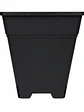 Maceta Profesional Cuadrada Negra medidas variadas- Kasvi - Miniatura 6