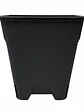 Maceta Profesional Cuadrada Negra medidas variadas- Kasvi - Miniatura 5