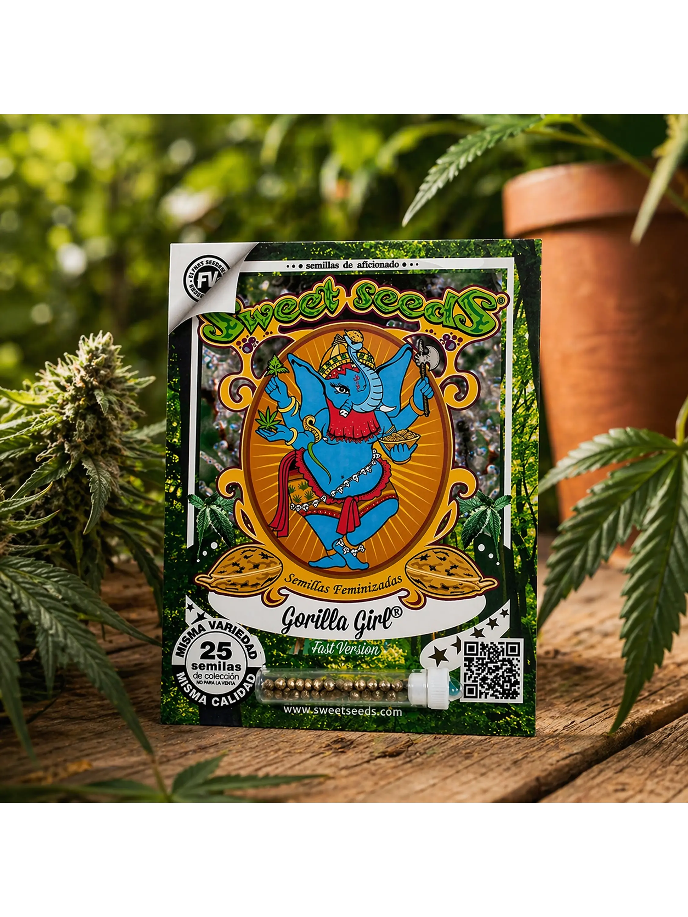 GORILLA GIRL F1 FAST VERSION X25-SWEET SEEDS 2