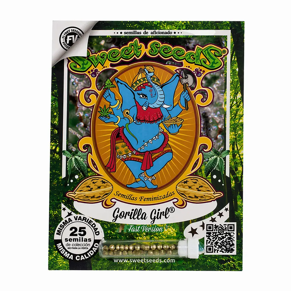 GORILLA GIRL F1 FAST VERSION (X25/X3+1) -SWEET SEEDS 1