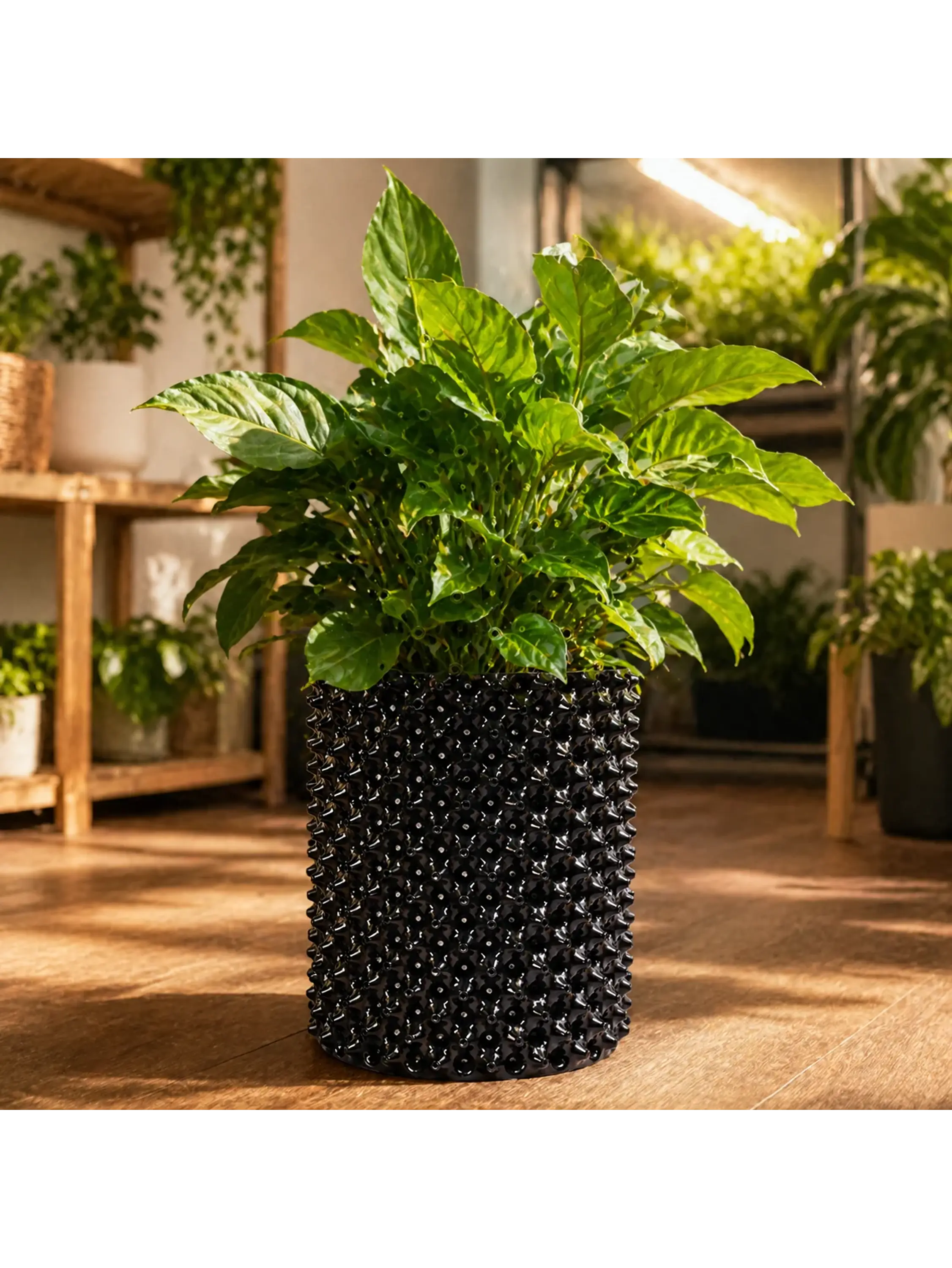 MACETA AIR BLACK -KASVI 5