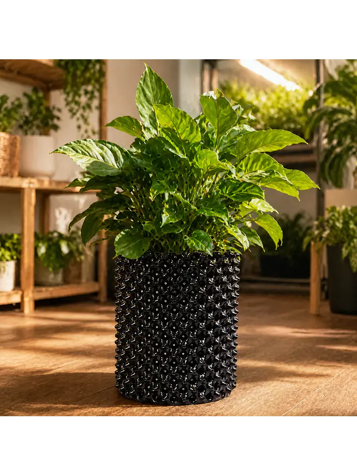 MACETA AIR BLACK -KASVI 5