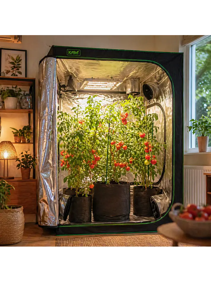 CARPA CROPBOX 150X150X200-KASVI 4