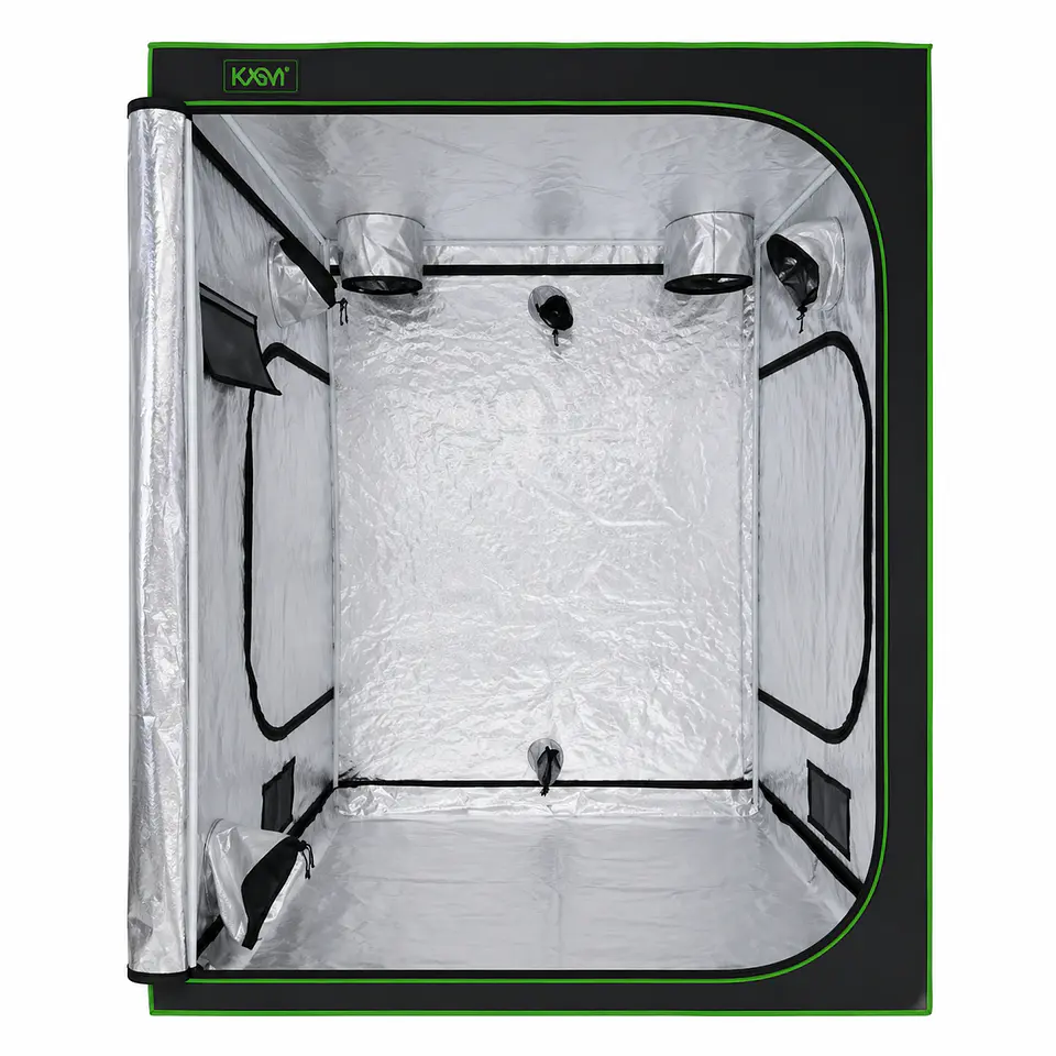 CARPA CROPBOX -KASVI 2