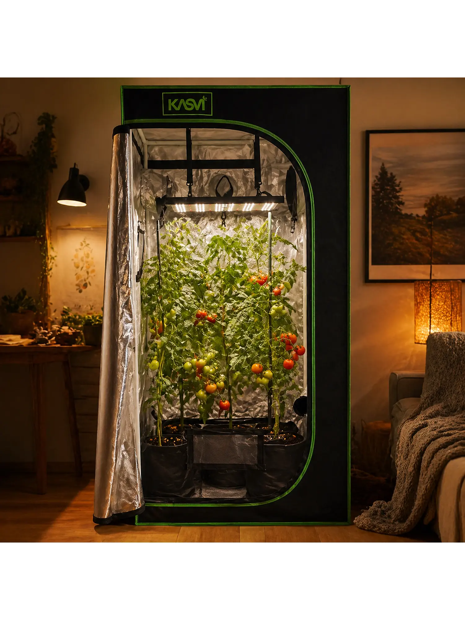 CARPA CROPBOX 60X60X160-KASVI 3