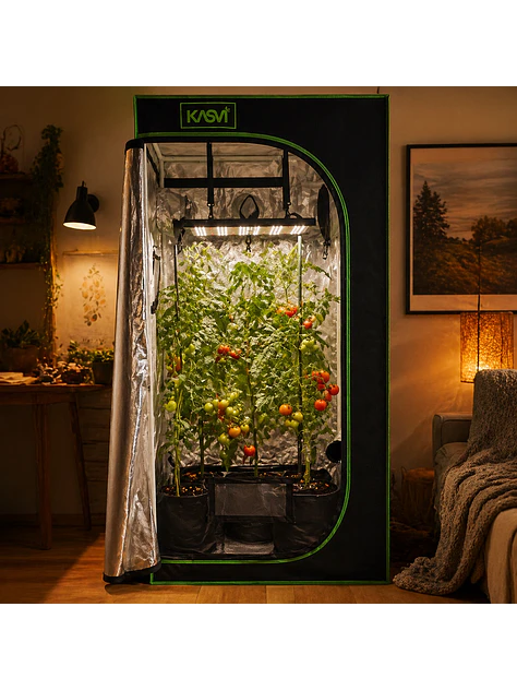 CARPA CROPBOX 60X60X160-KASVI 3