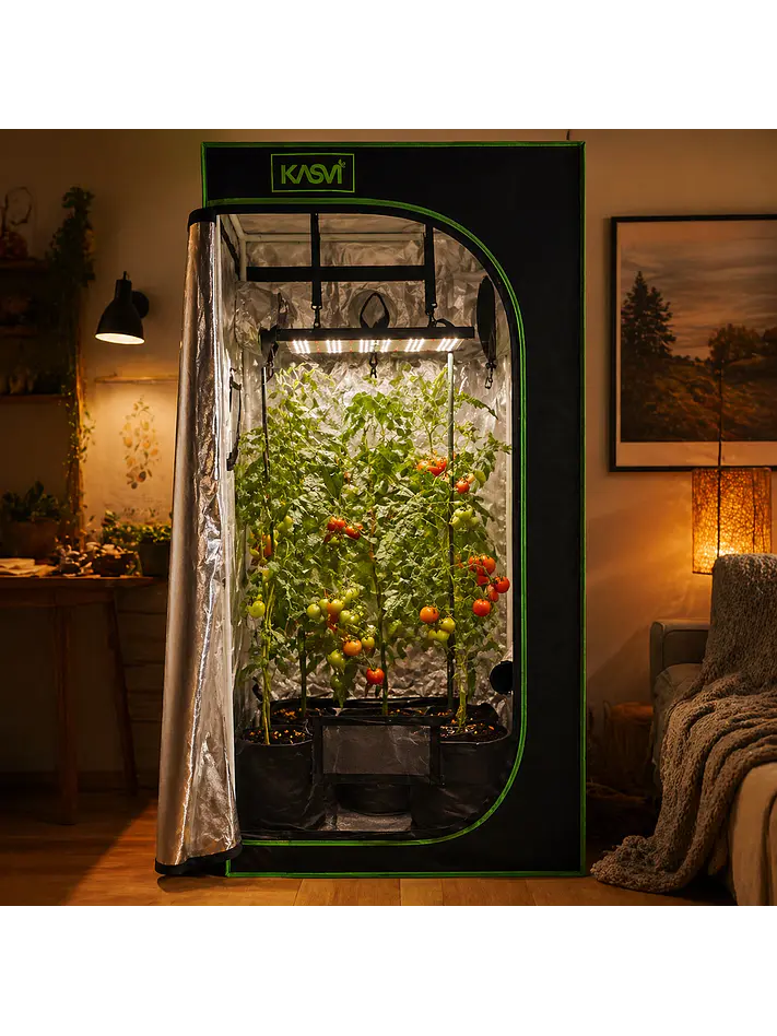 CARPA CROPBOX 60X60X160-KASVI 3