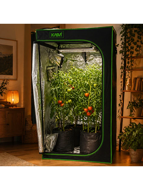 CARPA CROPBOX 80X80X160-KASVI 4