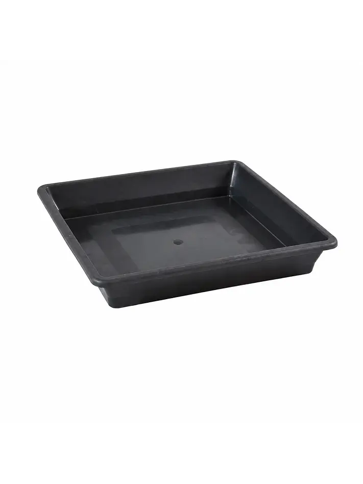 Plato Cuadrado Negro  1