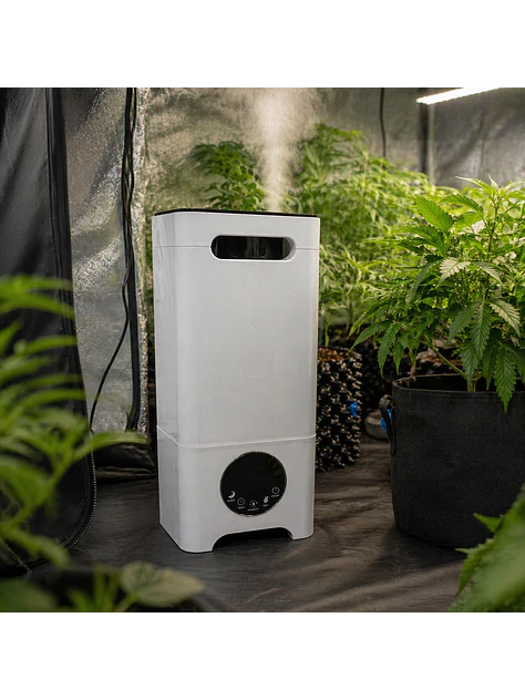  HUMIDIFICADOR ULTRASONICO 12LT  6