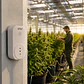 Timer Wifi-Kasvi - Miniatura 2