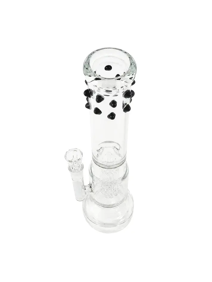 K30 -Bonglab 3