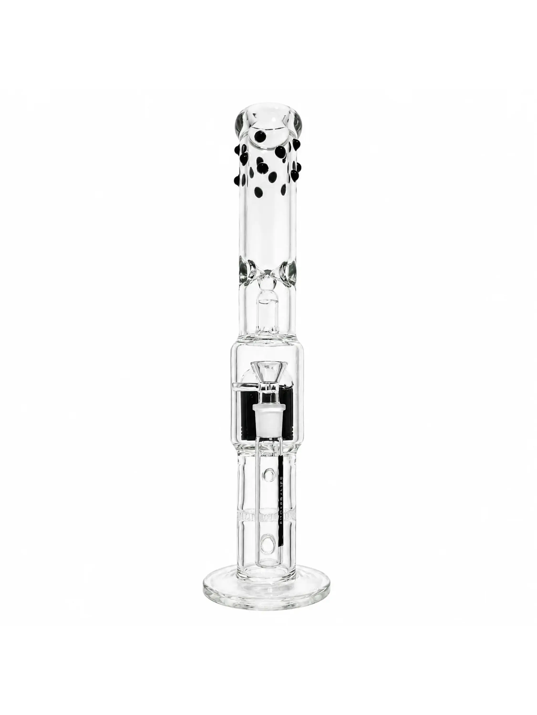 K30 -Bonglab 4
