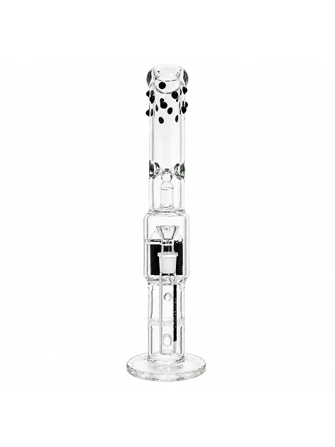 K30 -Bonglab 4