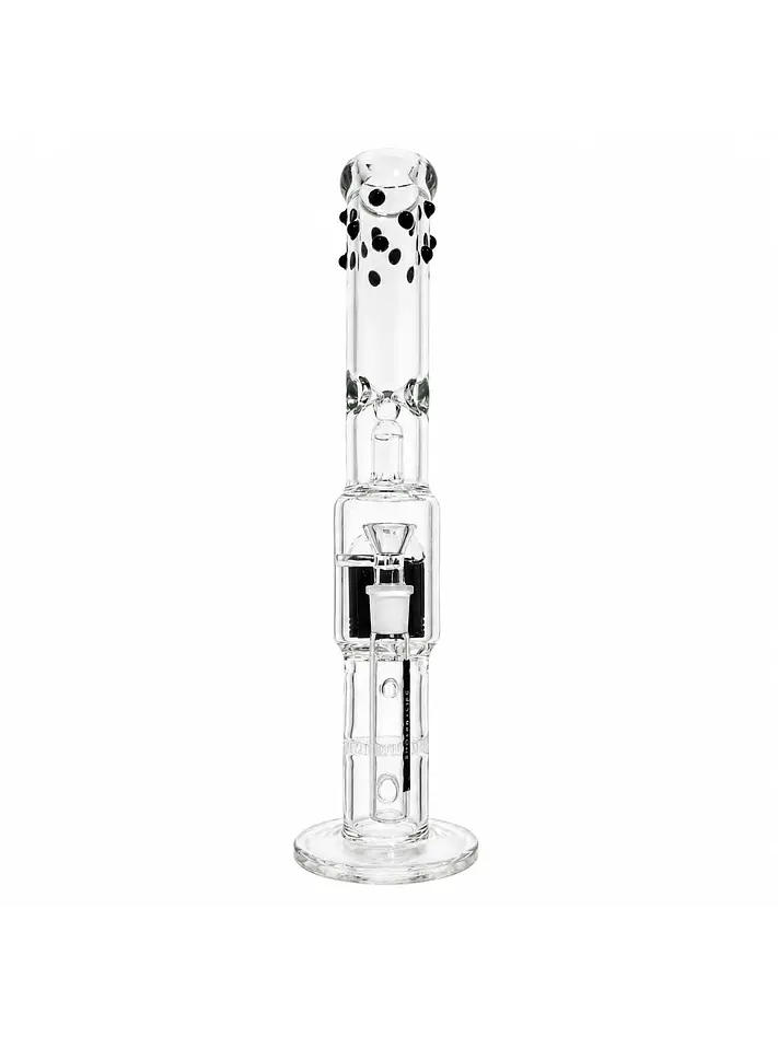 K30 -Bonglab 4