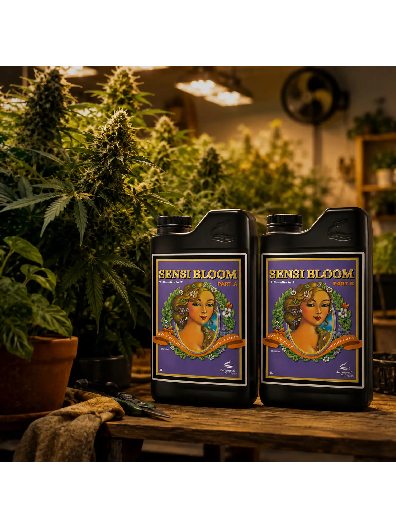 Fertilizante Ph Perfect Sensi Bloom A+B 4L -Advanced Nutrients 3
