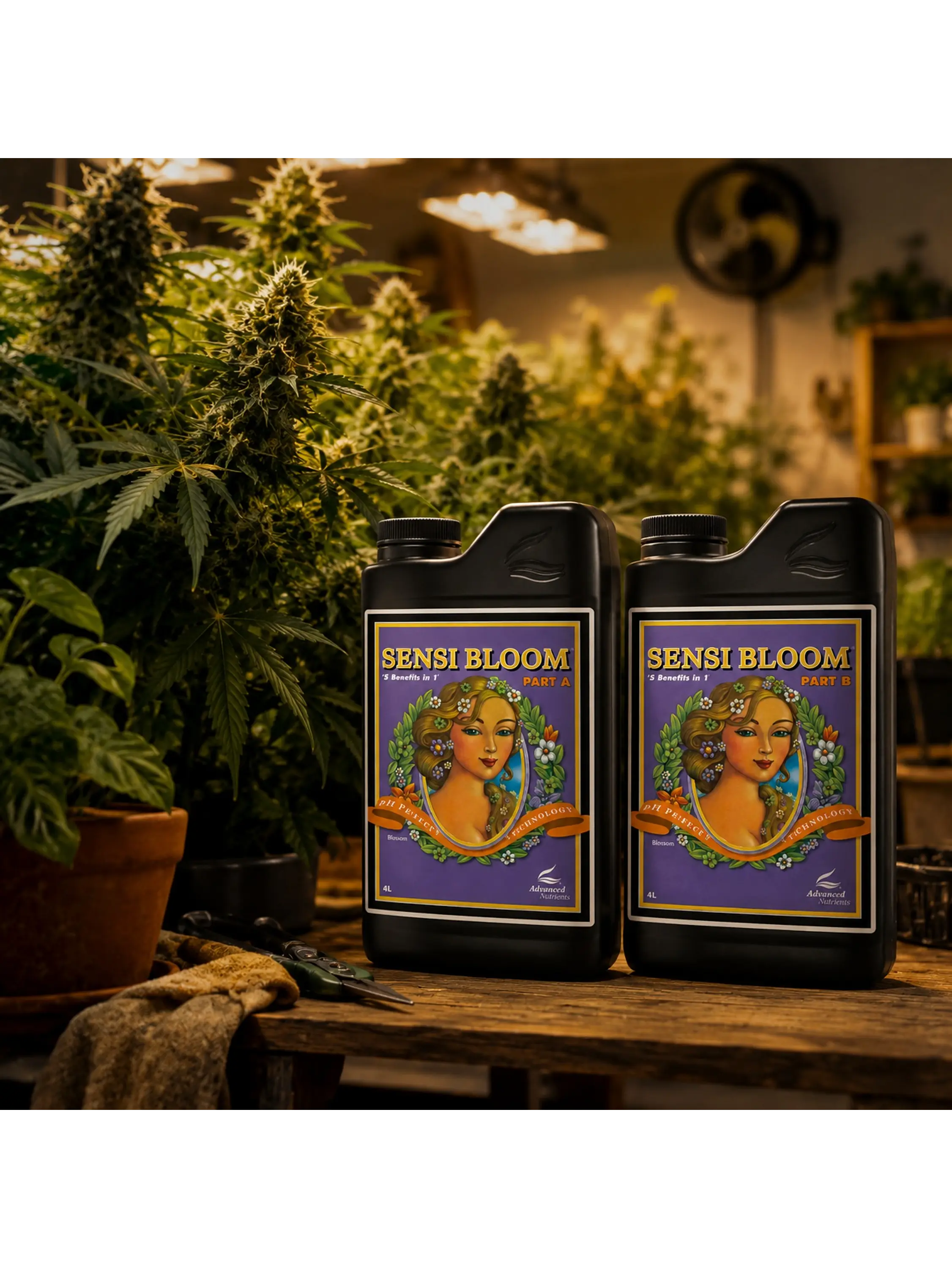 Fertilizante Ph Perfect Sensi Bloom A+B 4L -Advanced Nutrients 3
