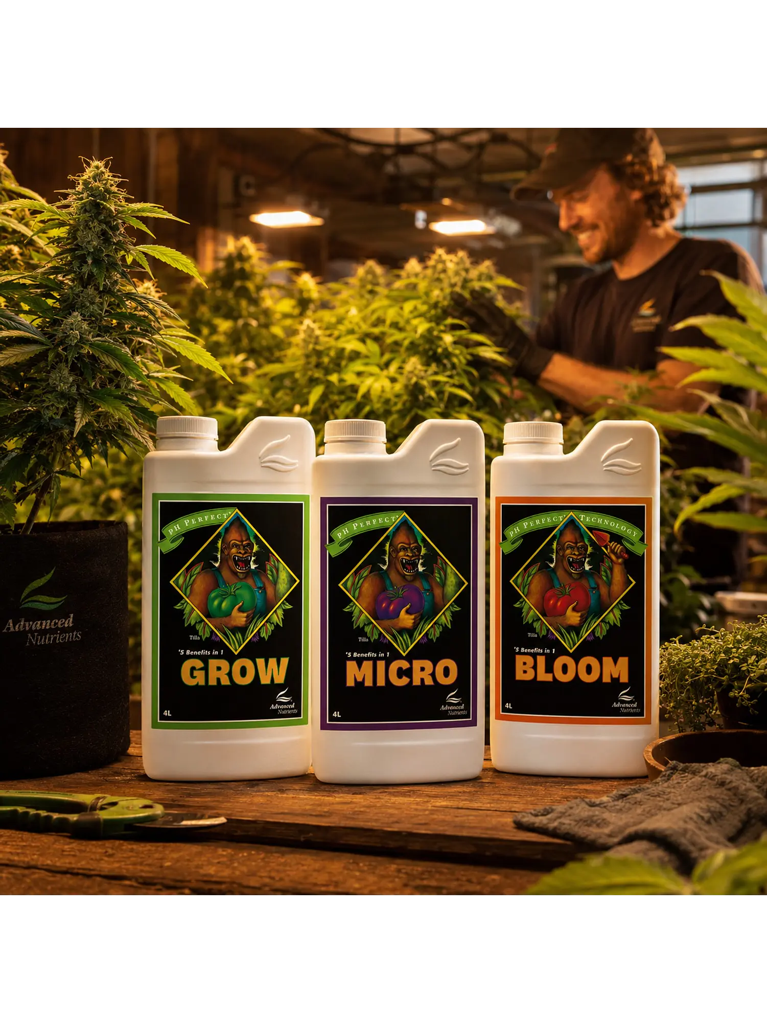 Fertilizante Ph Perfect Grow+Micro+Bloom 4L-Advanced Nutrients 2