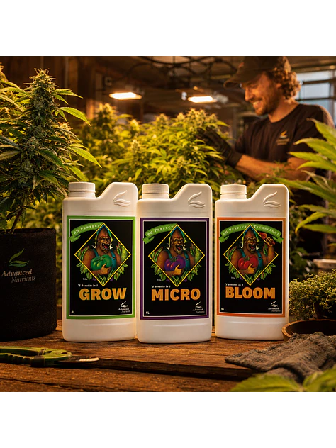 Fertilizante Ph Perfect Grow+Micro+Bloom 4L-Advanced Nutrients 2