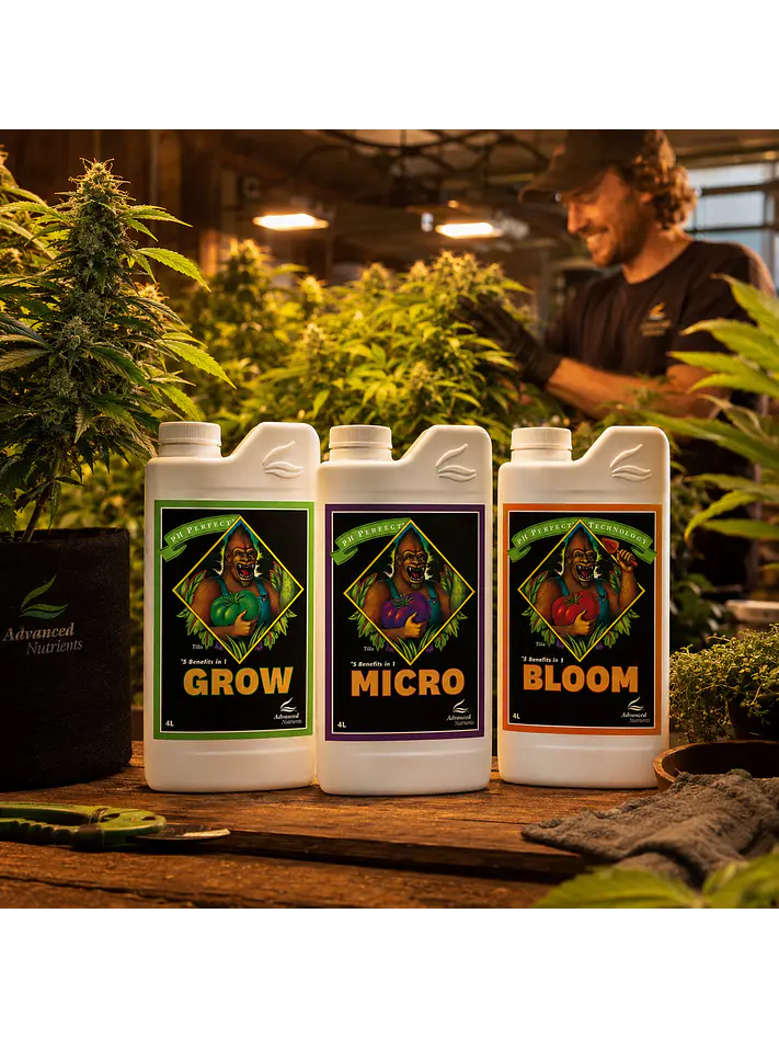 Fertilizante Ph Perfect Grow+Micro+Bloom 4L-Advanced Nutrients 2