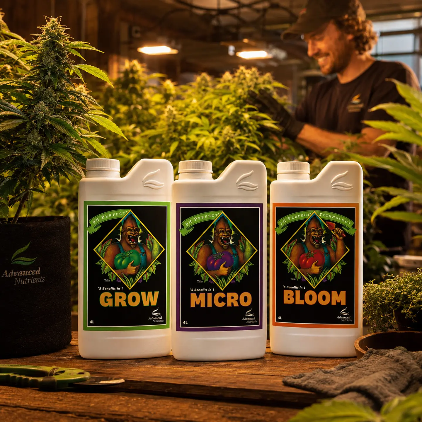 Fertilizante Ph Perfect Grow+Micro+Bloom 4L-Advanced Nutrients 2