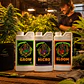 Fertilizante Ph Perfect Grow+Micro+Bloom 4L-Advanced Nutrients - Miniatura 2