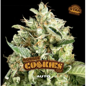 DOUBLE COOKIES SP AUTO X7 - BSF