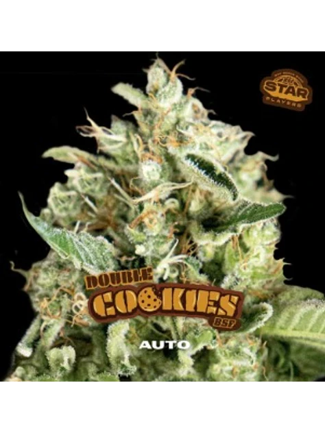 DOUBLE COOKIES SP AUTO X7 - BSF 1