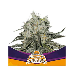 DOUBLE COOKIES SP COOKIES FEM X7 - BSF