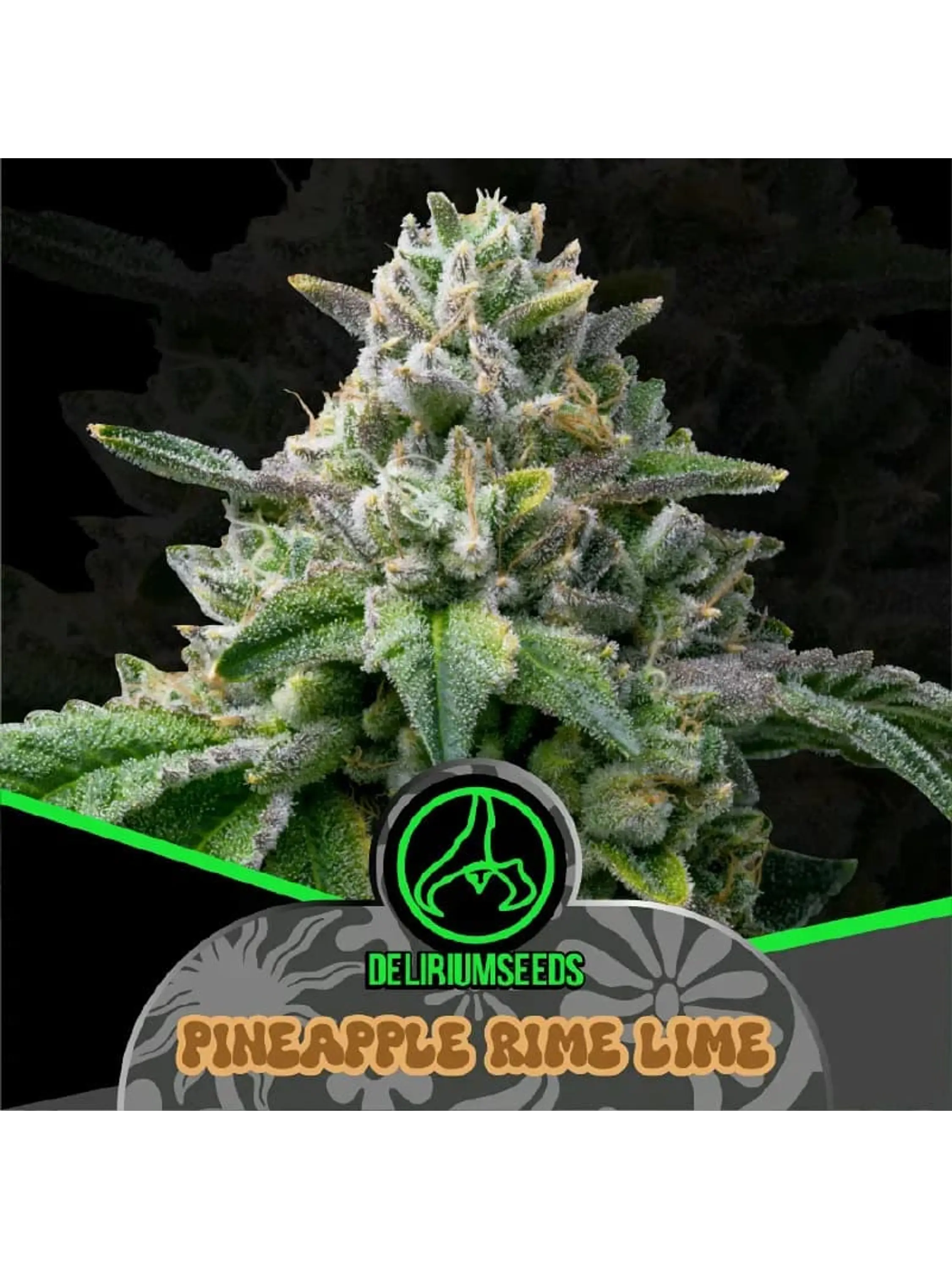 PINEAPPLE RIME LINE FAST VERSION FEM X7 - DELIRIUM SEEDS 1