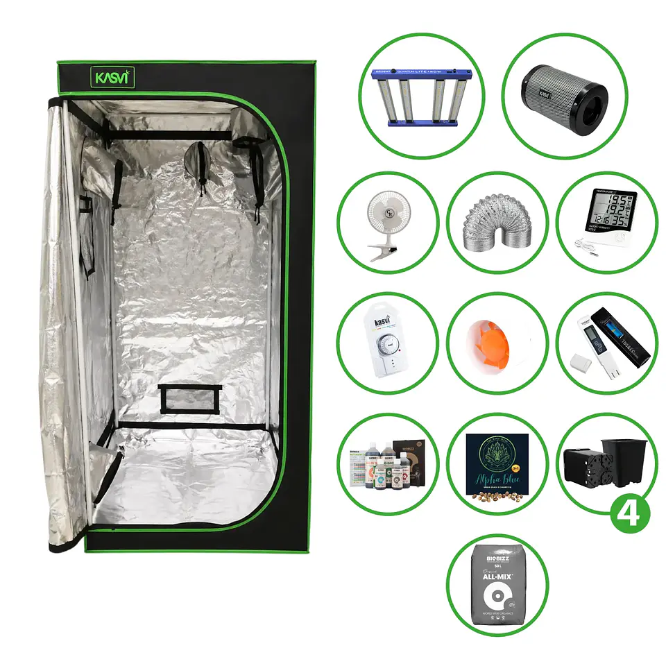 Astro Kit Cultivo 160W 7