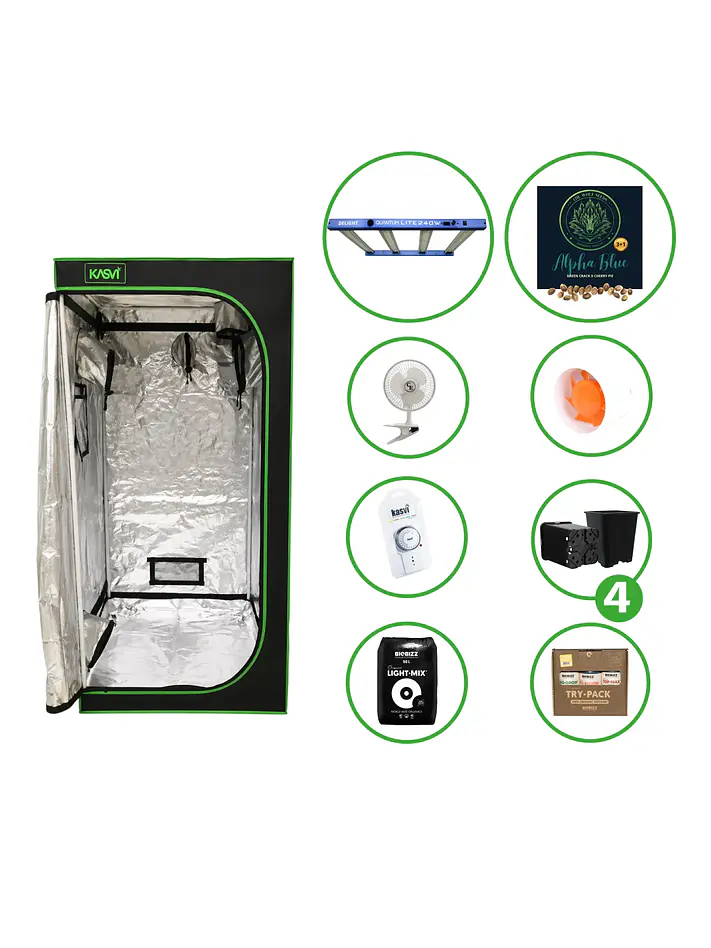 Astro Kit Cultivo 240W 4