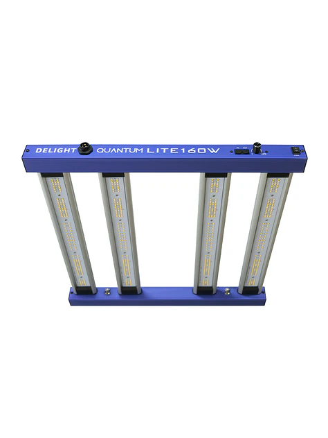 New Quantum Lite 160W - Delight 1