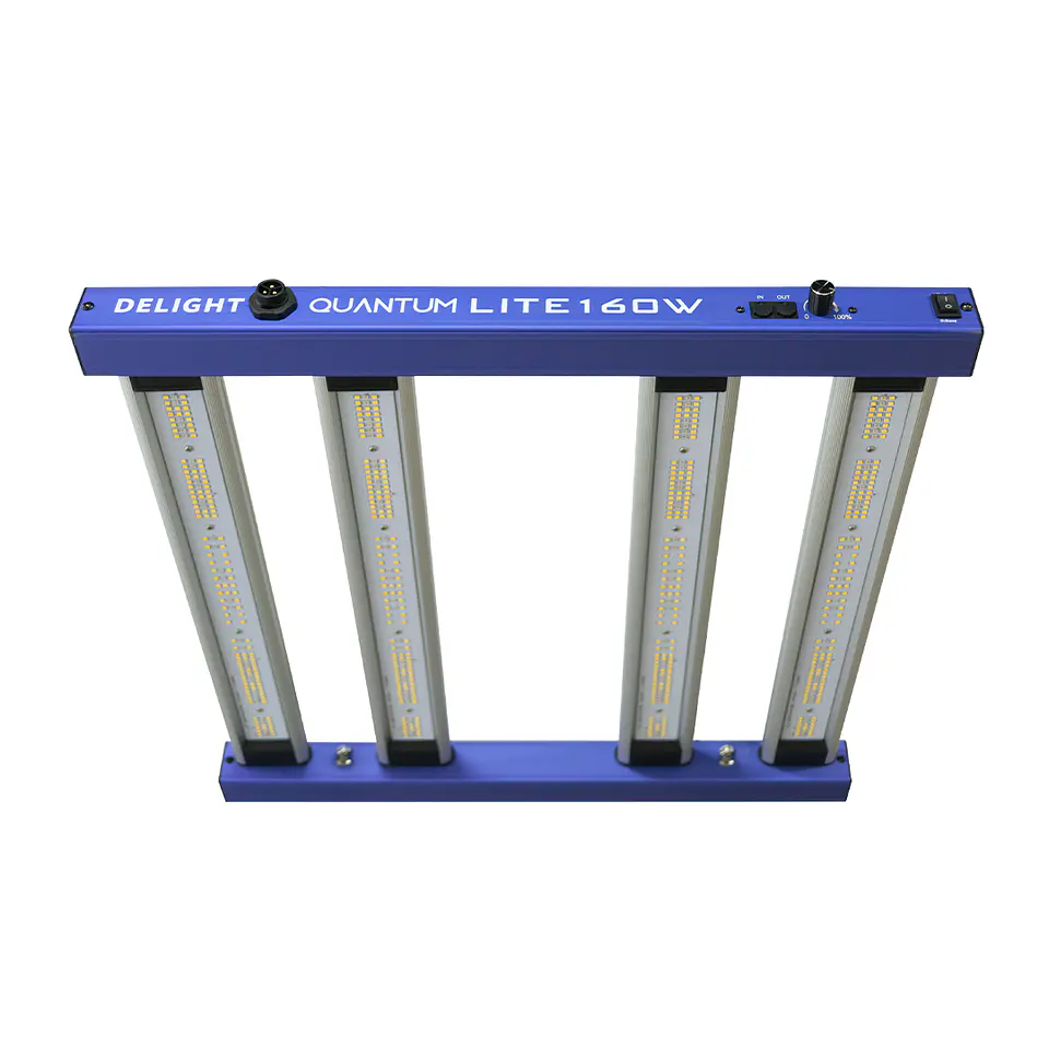 New Quantum Lite 160W - Delight 1