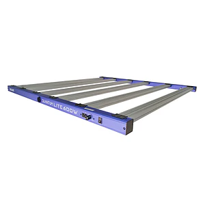 New Quantum Lite 600W - Delight