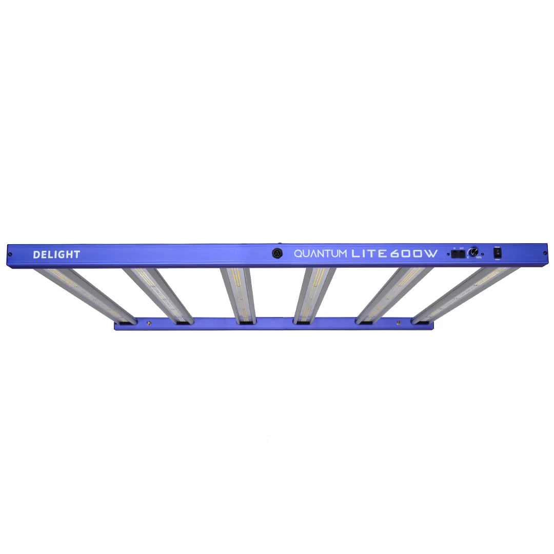 New Quantum Lite 600W - Delight 1