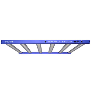 New Quantum Lite 600W - Delight