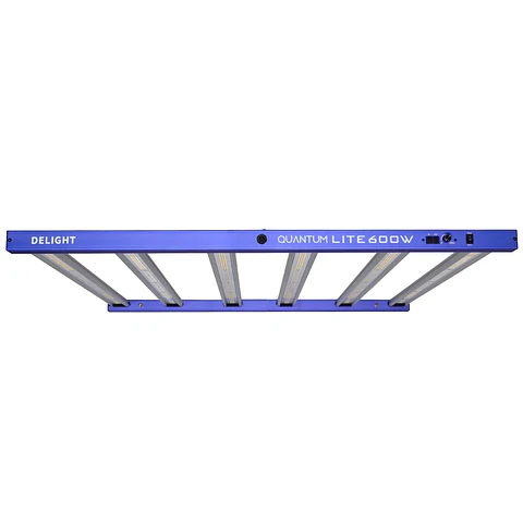 New Quantum Lite 600W - Delight