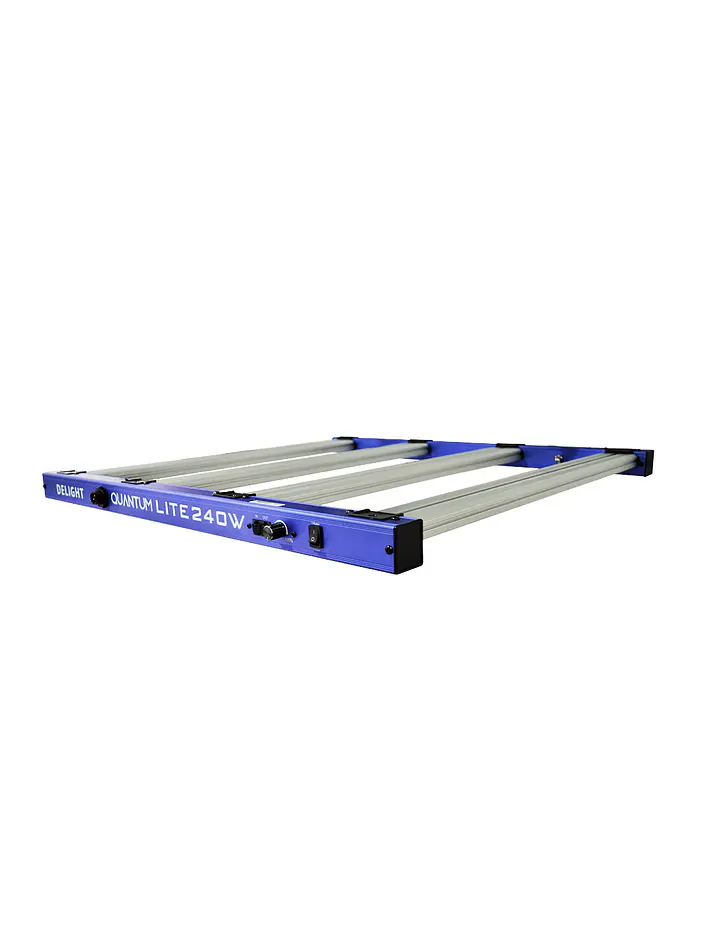 New Quantum Lite 240W - DELIGHT 3