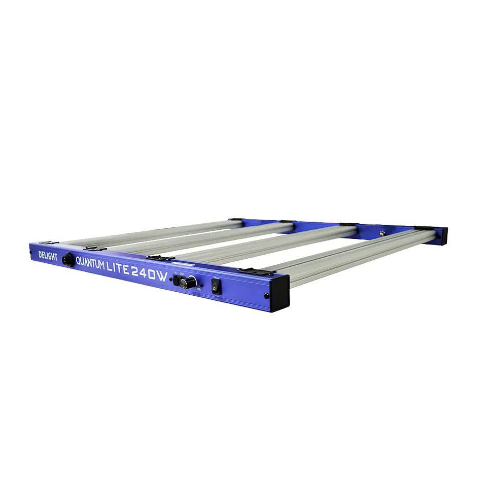 New Quantum Lite 240W - DELIGHT 3
