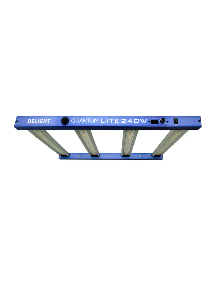 New Quantum Lite 240W - DELIGHT 1