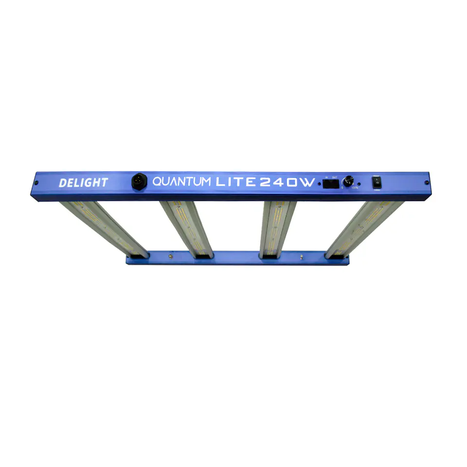 New Quantum Lite 240W - DELIGHT 1