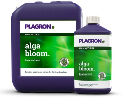 ALGA BLOOM 100ML- PLAGRON 1