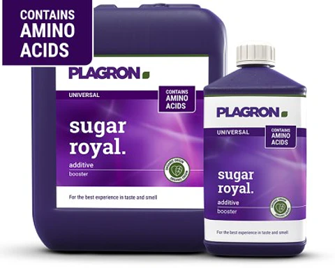 SUGAR ROYAL 100ML- PLAGRON